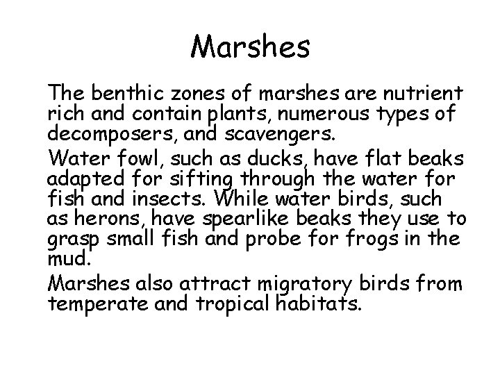 Marshes • The benthic zones of marshes are nutrient rich and contain plants, numerous