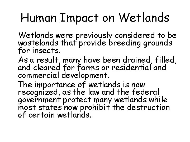 Human Impact on Wetlands • Wetlands were previously considered to be wastelands that provide