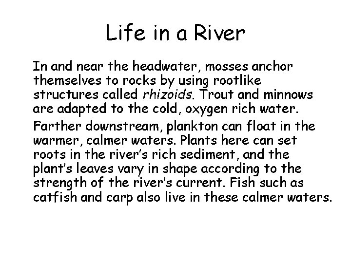Life in a River • In and near the headwater, mosses anchor themselves to
