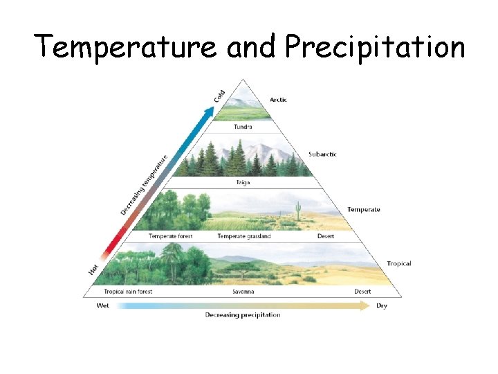 Temperature and Precipitation 