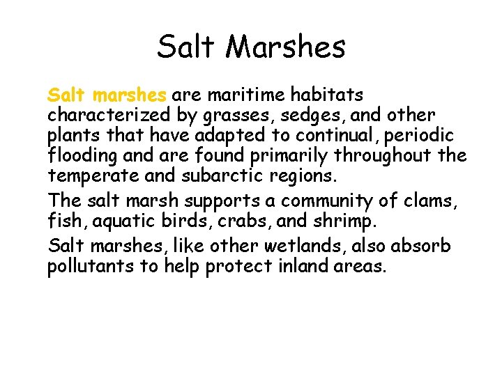 Salt Marshes • Salt marshes are maritime habitats characterized by grasses, sedges, and other