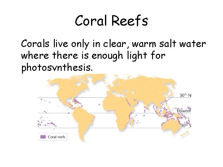 Coral Reefs • Corals live only in clear, warm salt water where there is