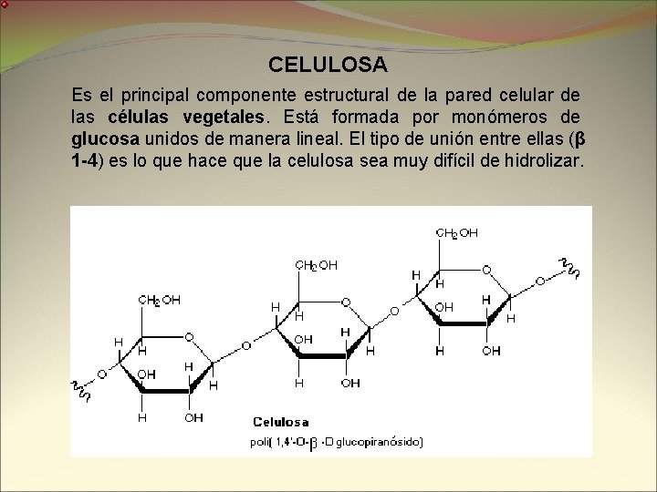CELULOSA Es el principal componente estructural de la pared celular de las células vegetales.