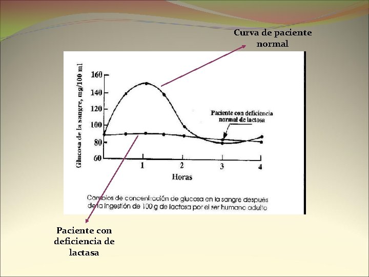 Curva de paciente normal Paciente con deficiencia de lactasa 