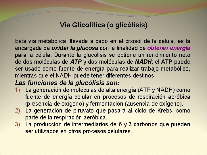 Vía Glicolítica (o glicólisis) Esta vía metabólica, llevada a cabo en el citosol de