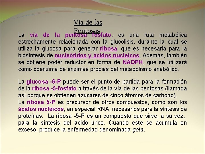 Vía de las Pentosas La vía de la pentosa fosfato, es una ruta metabólica