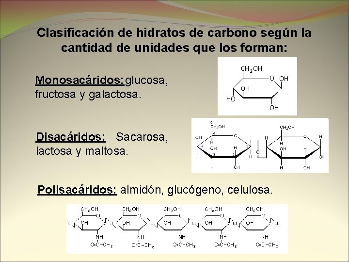 Clasificación de hidratos de carbono según la cantidad de unidades que los forman: Monosacáridos: