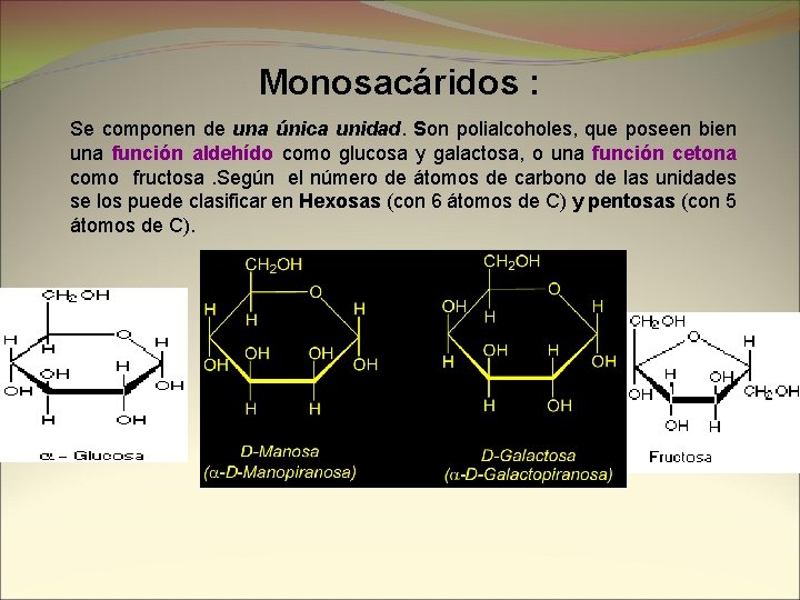 Monosacáridos : Se componen de una única unidad. Son polialcoholes, que poseen bien una