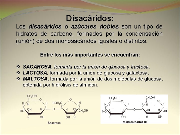 Disacáridos: Los disacáridos o azúcares dobles son un tipo de hidratos de carbono, formados