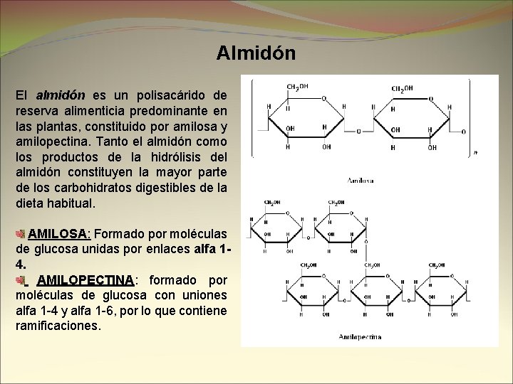 Almidón El almidón es un polisacárido de reserva alimenticia predominante en las plantas, constituido