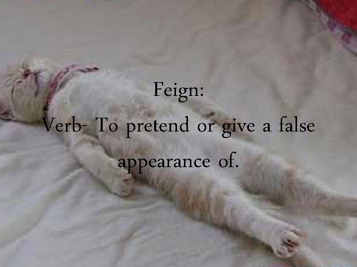 Feign: Verb- To pretend or give a false appearance of. 