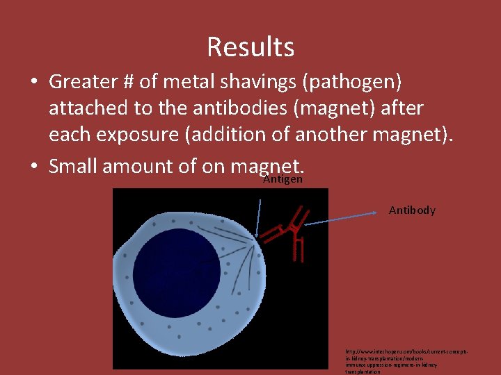 Results • Greater # of metal shavings (pathogen) attached to the antibodies (magnet) after