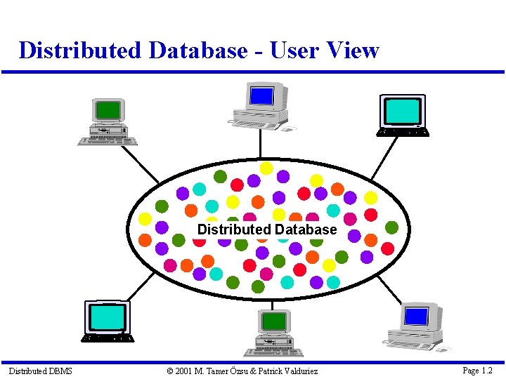 Distributed Database - User View Distributed Database Distributed DBMS © 2001 M. Tamer Özsu