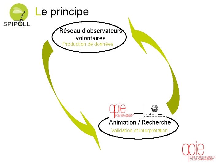 Le principe Réseau d’observateurs volontaires Les Production de données sciences participatives Animation / Recherche