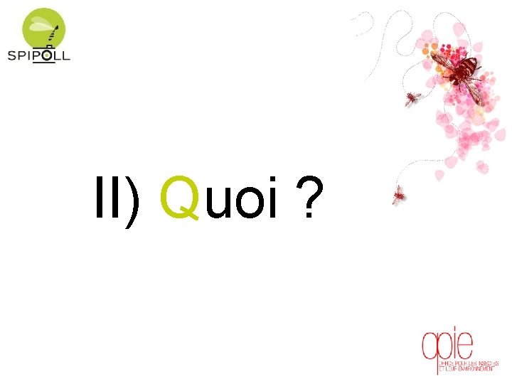 II) Quoi ? 