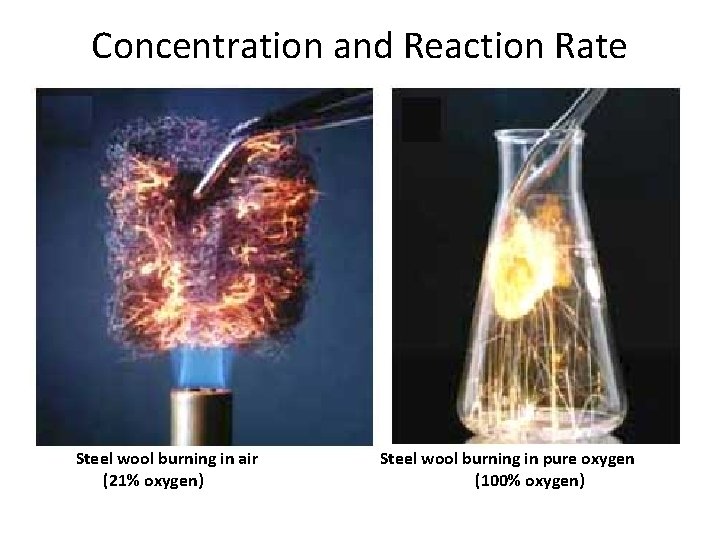 Concentration and Reaction Rate A Steel wool burning in air (21% oxygen) Steel wool