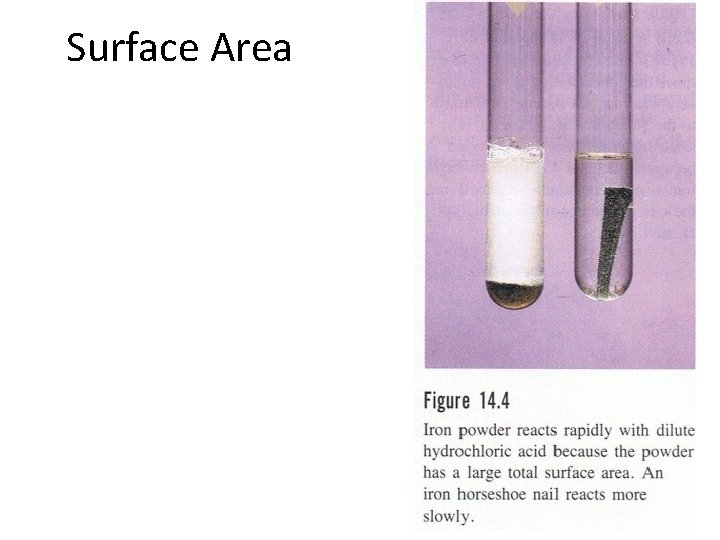 Surface Area 