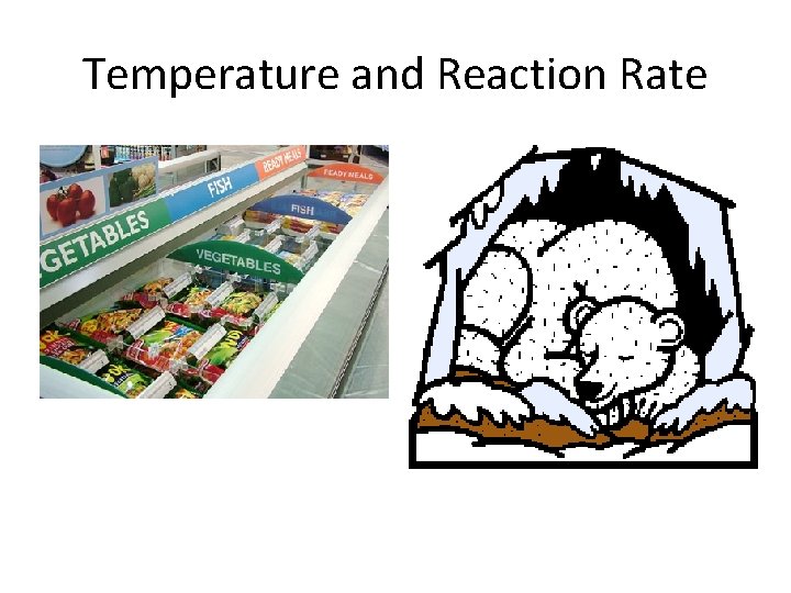 Temperature and Reaction Rate 