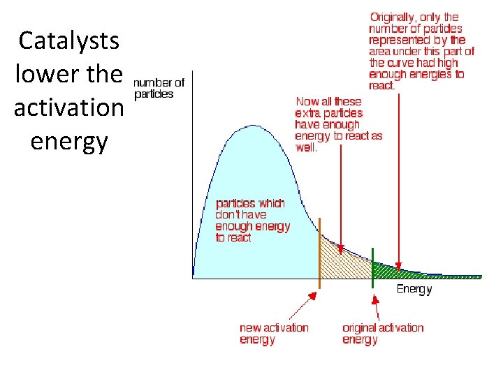 Catalysts lower the activation energy 