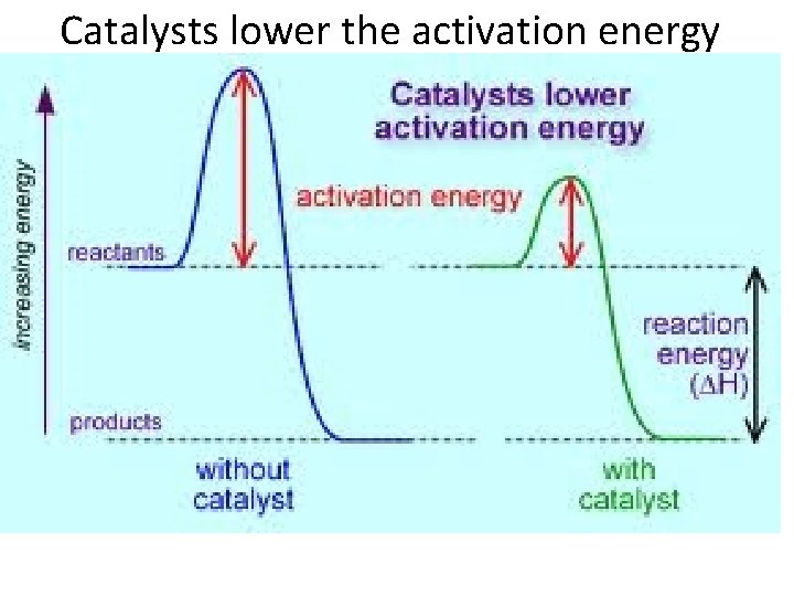 Catalysts lower the activation energy 