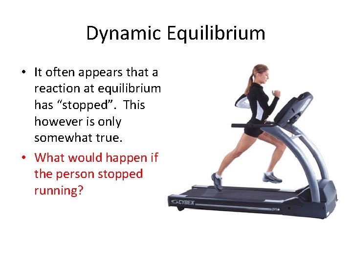 Dynamic Equilibrium • It often appears that a reaction at equilibrium has “stopped”. This