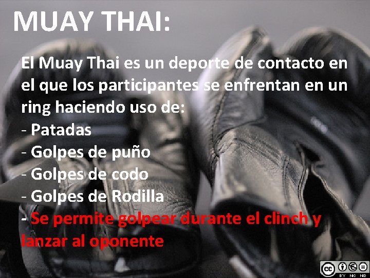 MUAY THAI: El Muay Thai es un deporte de contacto en el que los
