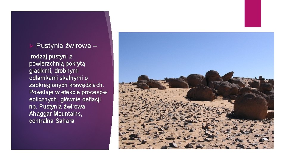 Ø Pustynia żwirowa – rodzaj pustyni z powierzchnią pokrytą gładkimi, drobnymi odłamkami skalnymi o