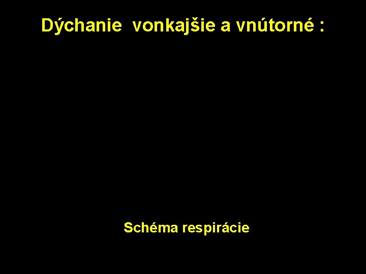 Dýchanie vonkajšie a vnútorné : Schéma respirácie 