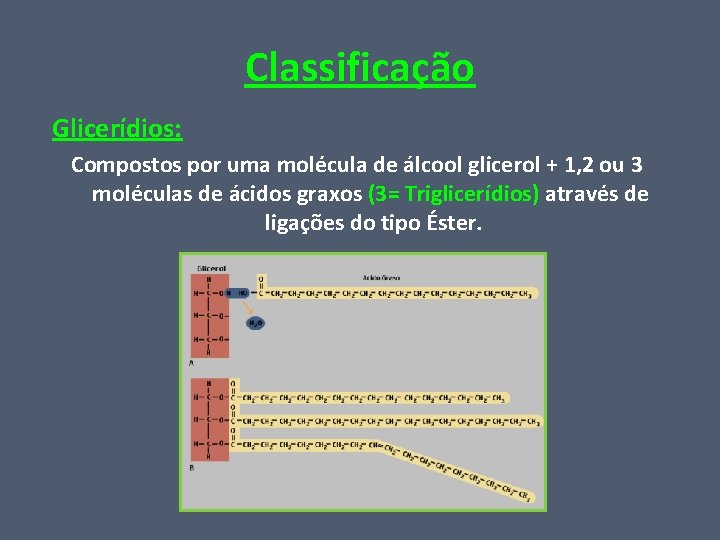 Classificação Glicerídios: Compostos por uma molécula de álcool glicerol + 1, 2 ou 3