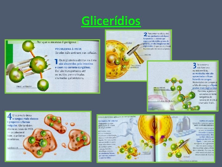 Glicerídios 