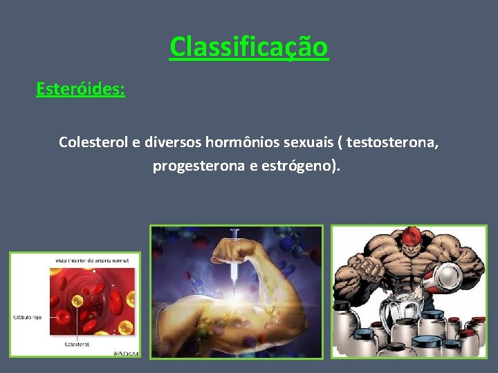 Classificação Esteróides: Colesterol e diversos hormônios sexuais ( testosterona, progesterona e estrógeno). 