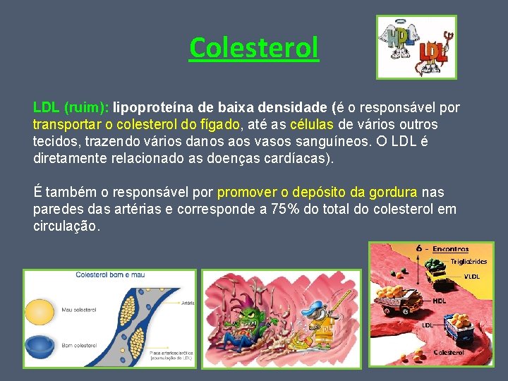 Colesterol LDL (ruim): lipoproteína de baixa densidade (é o responsável por transportar o colesterol