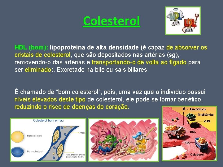 Colesterol HDL (bom): lipoproteína de alta densidade (é capaz de absorver os cristais de