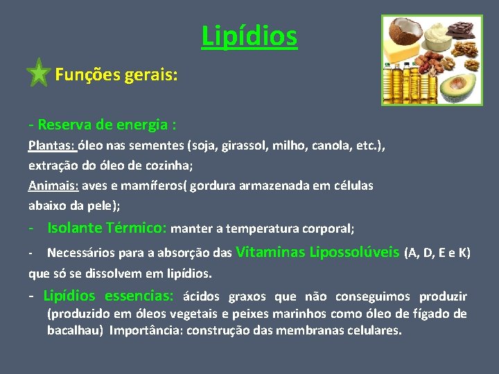 Lipídios Funções gerais: - Reserva de energia : Plantas: óleo nas sementes (soja, girassol,