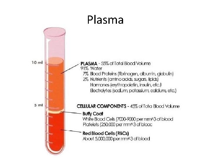 Plasma 