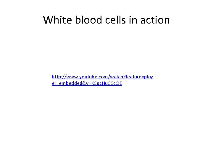 White blood cells in action http: //www. youtube. com/watch? feature=play er_embedded&v=KCpc. Hu. C 6
