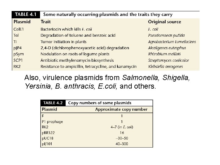 Also, virulence plasmids from Salmonella, Shigella, Yersinia, B. anthracis, E. coli, and others. 