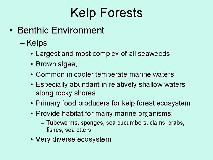 Kelp Forests • Benthic Environment – Kelps • • Largest and most complex of
