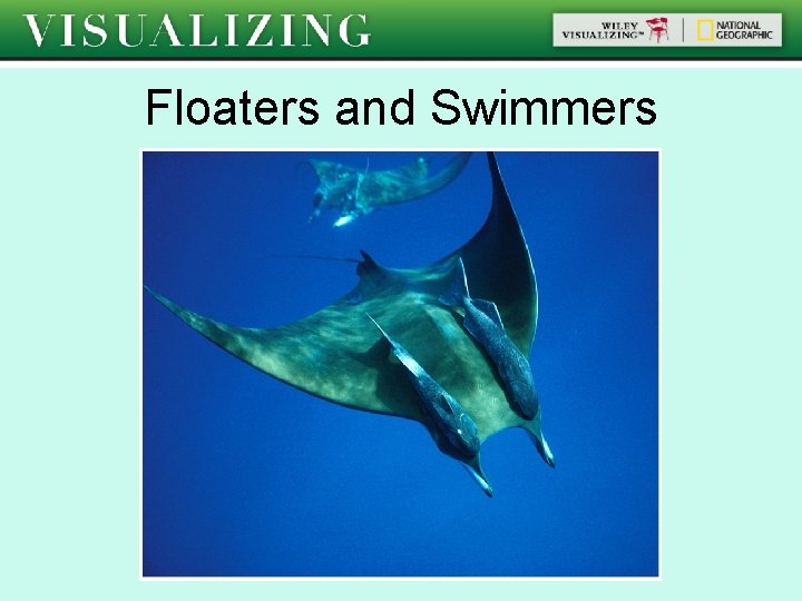 Floaters and Swimmers 