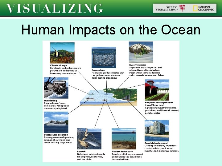 Human Impacts on the Ocean 