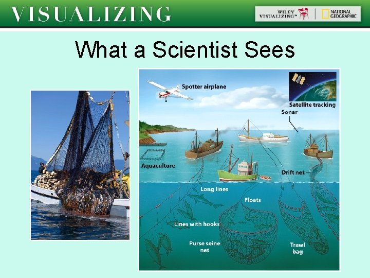 What a Scientist Sees 