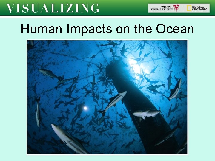 Human Impacts on the Ocean 