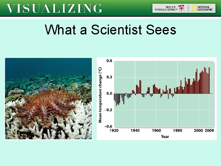 What a Scientist Sees 