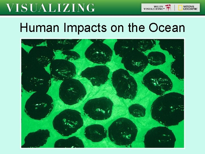 Human Impacts on the Ocean 