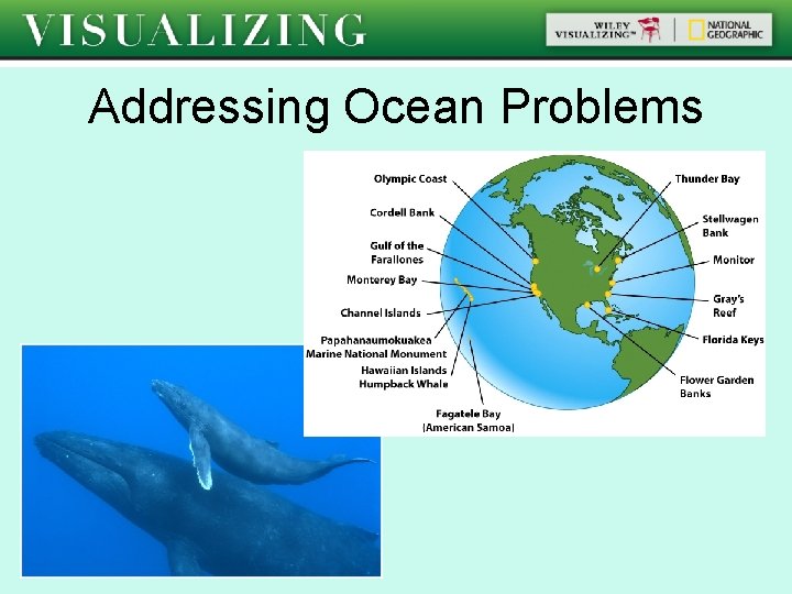 Addressing Ocean Problems 