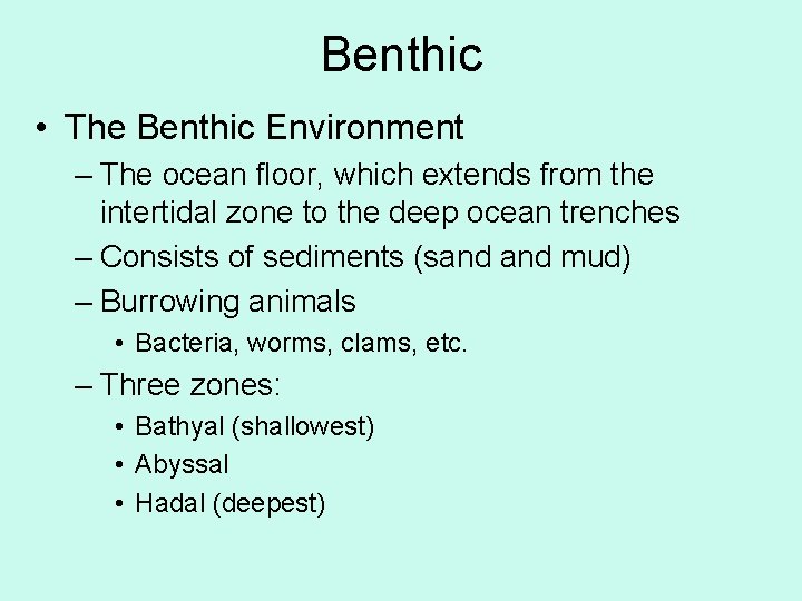 Benthic • The Benthic Environment – The ocean floor, which extends from the intertidal