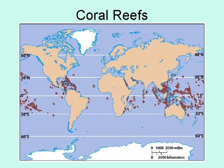 Coral Reefs 