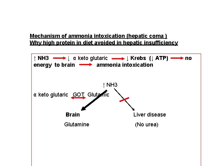 Mechanism of ammonia intoxication (hepatic coma ) Why high protein in diet avoided in
