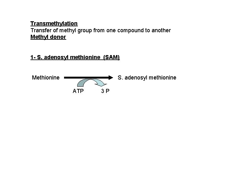 Transmethylation Transfer of methyl group from one compound to another Methyl donor 1 -