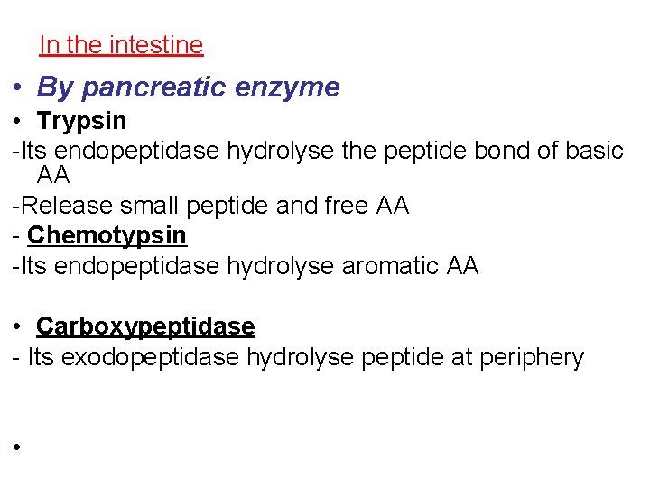 In the intestine • By pancreatic enzyme • Trypsin -Its endopeptidase hydrolyse the peptide
